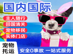 天津航空托运国际宠物托运 【国